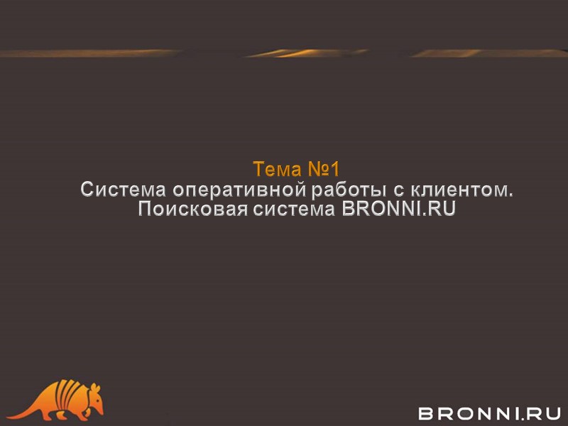 Тема №1 Система оперативной работы с клиентом.  Поисковая система BRONNI.RU